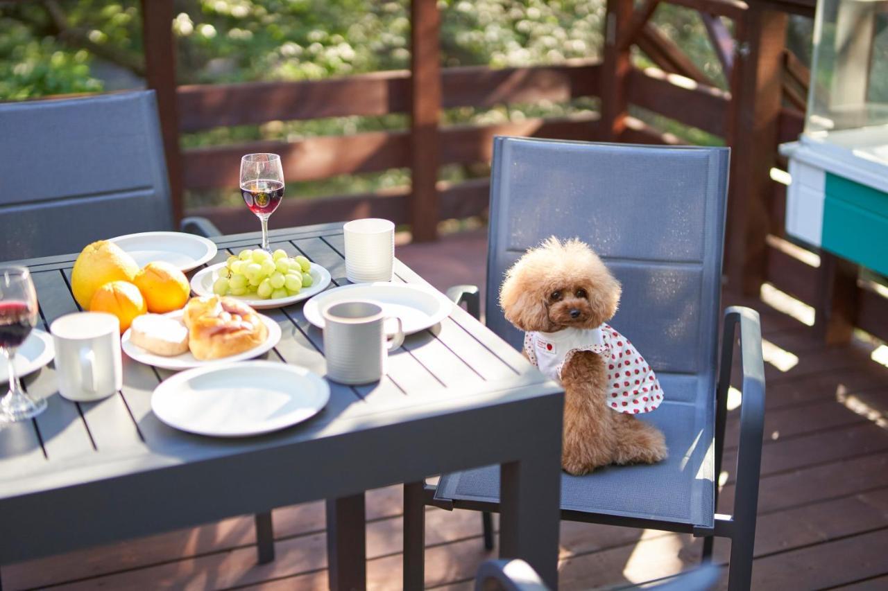 Suite Villa Nasukogen Doggy'S Ohana Εξωτερικό φωτογραφία